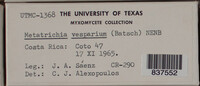 Image Associated With the Occurence
